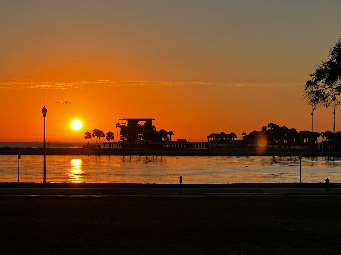 Top Hotels St. Pete Florida
