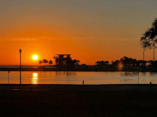 Top Hotels St. Pete Florida
