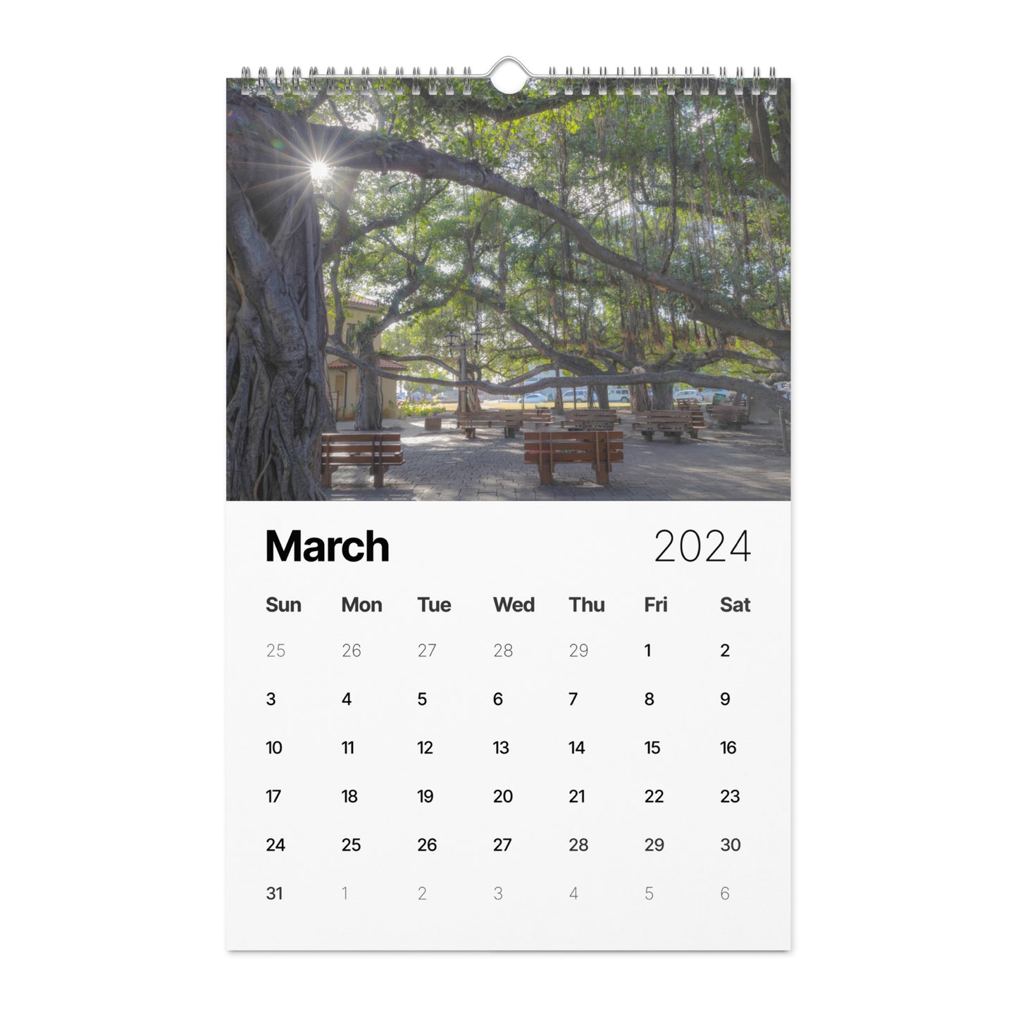 Wall calendar (2024)