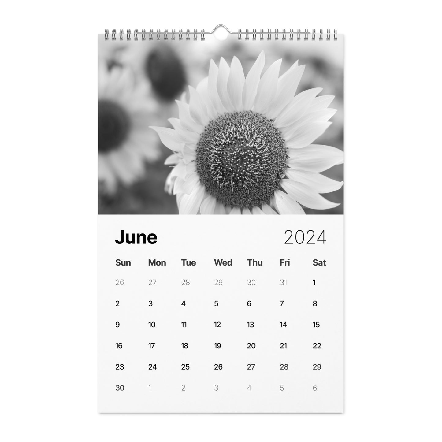 Wall calendar (2024)