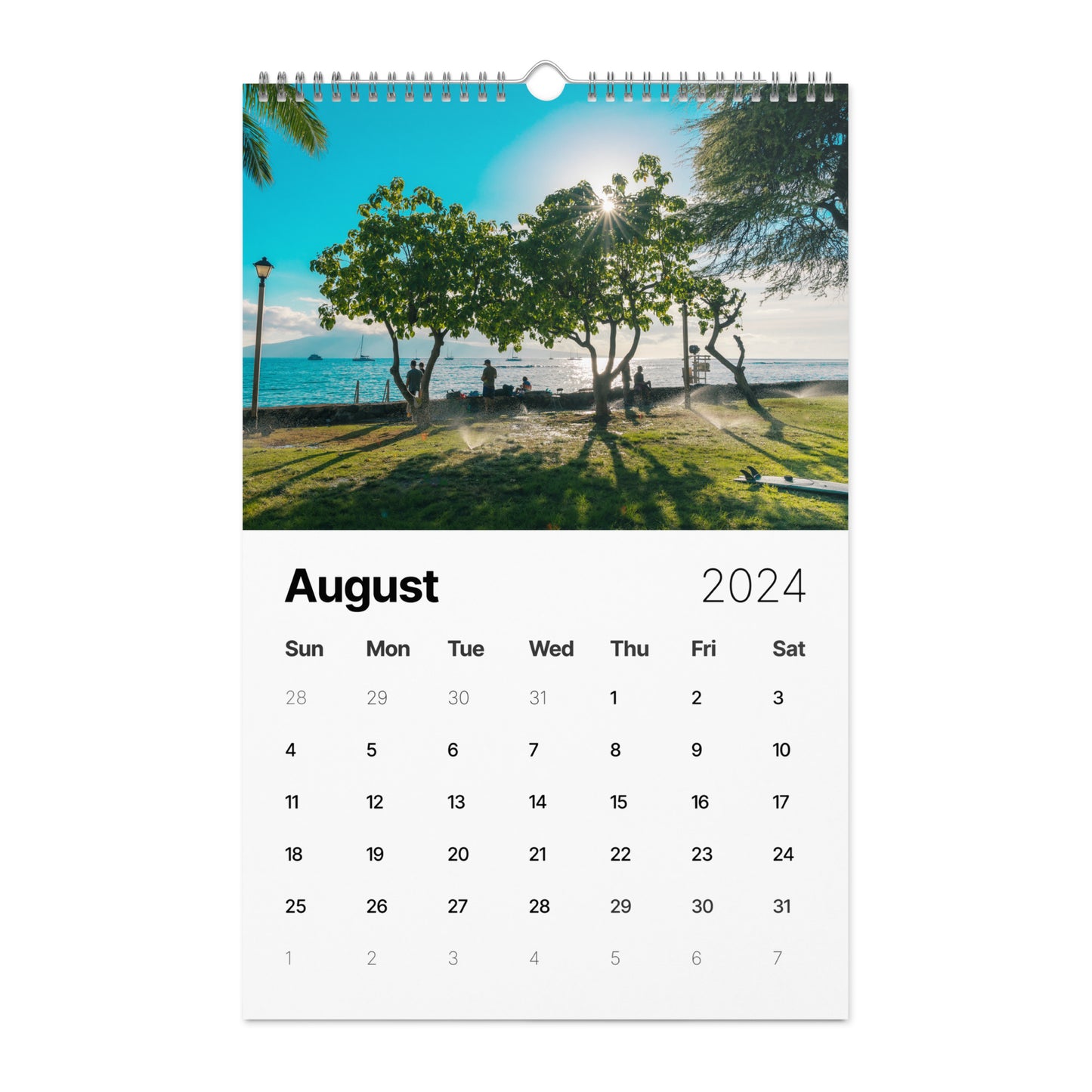 Wall calendar (2024)