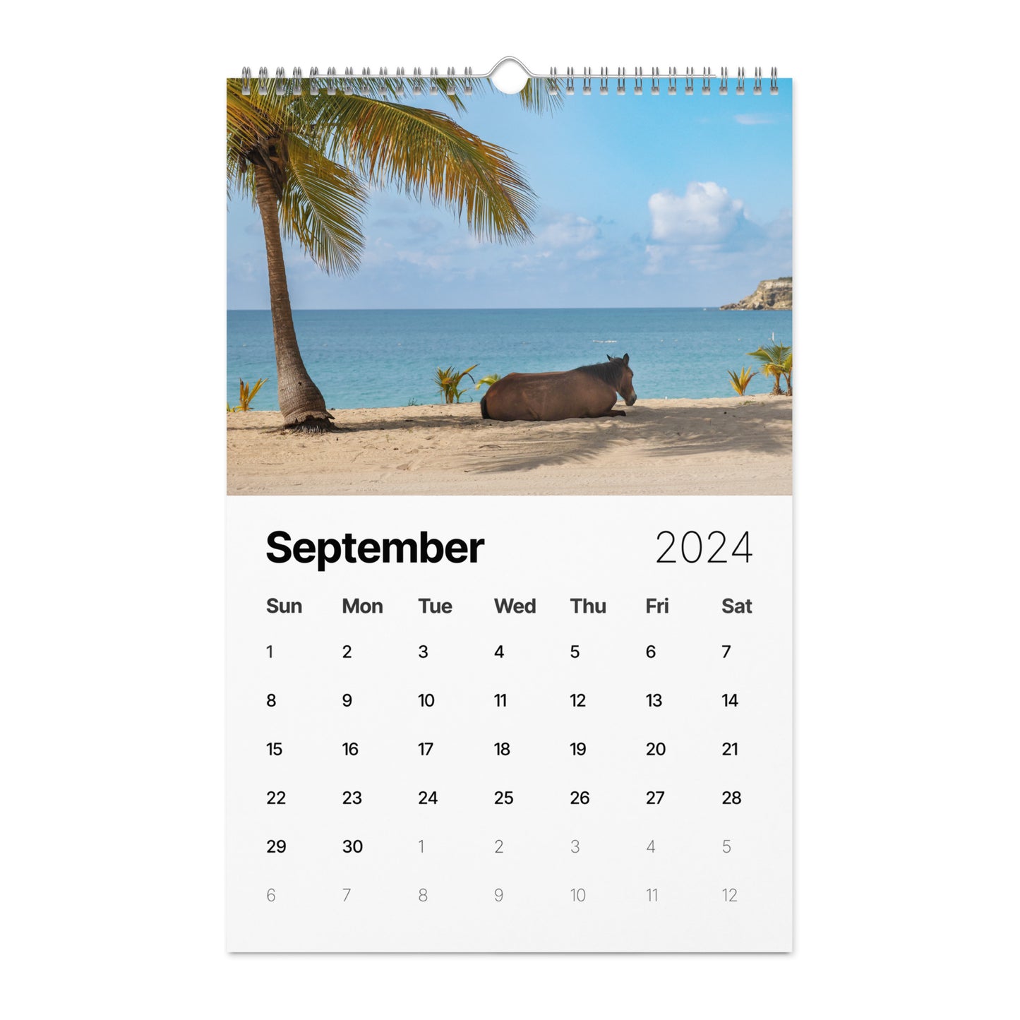 Wall calendar (2024)