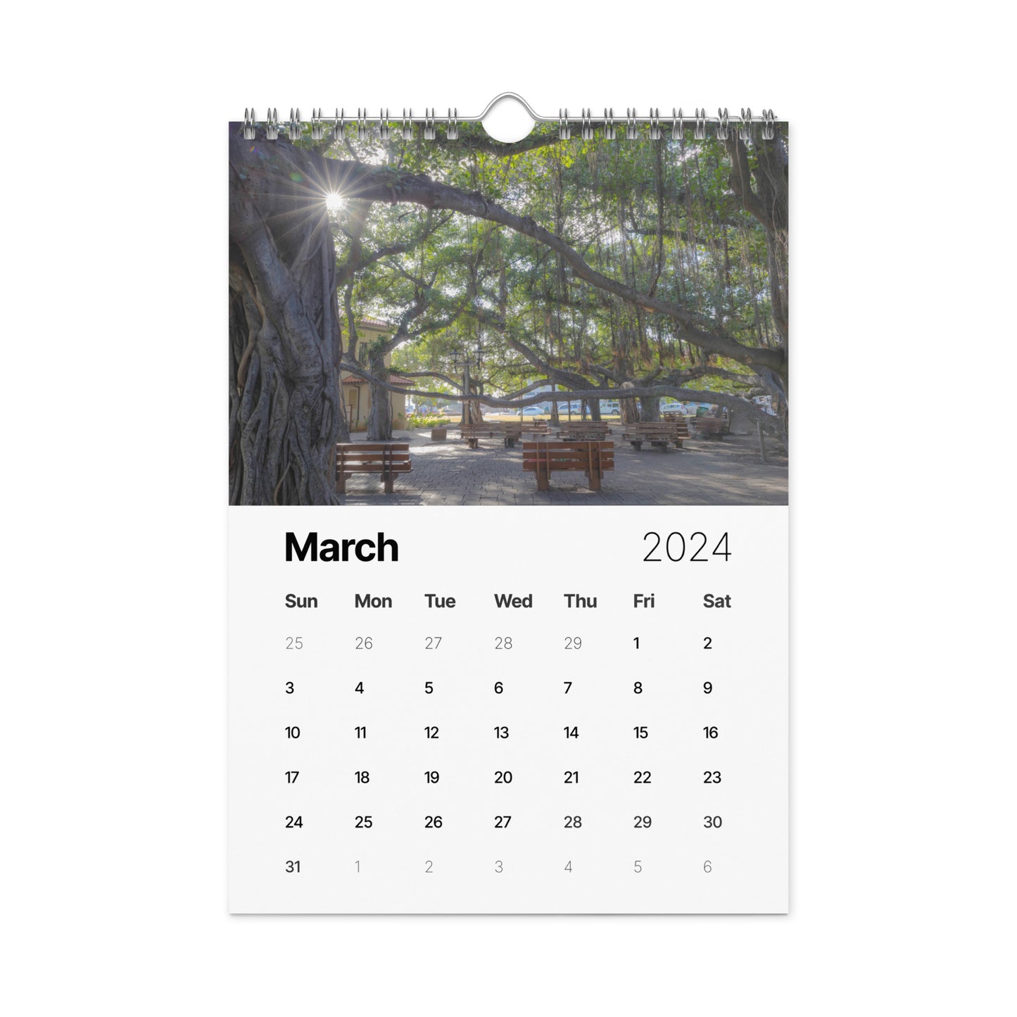 Wall calendar (2024)