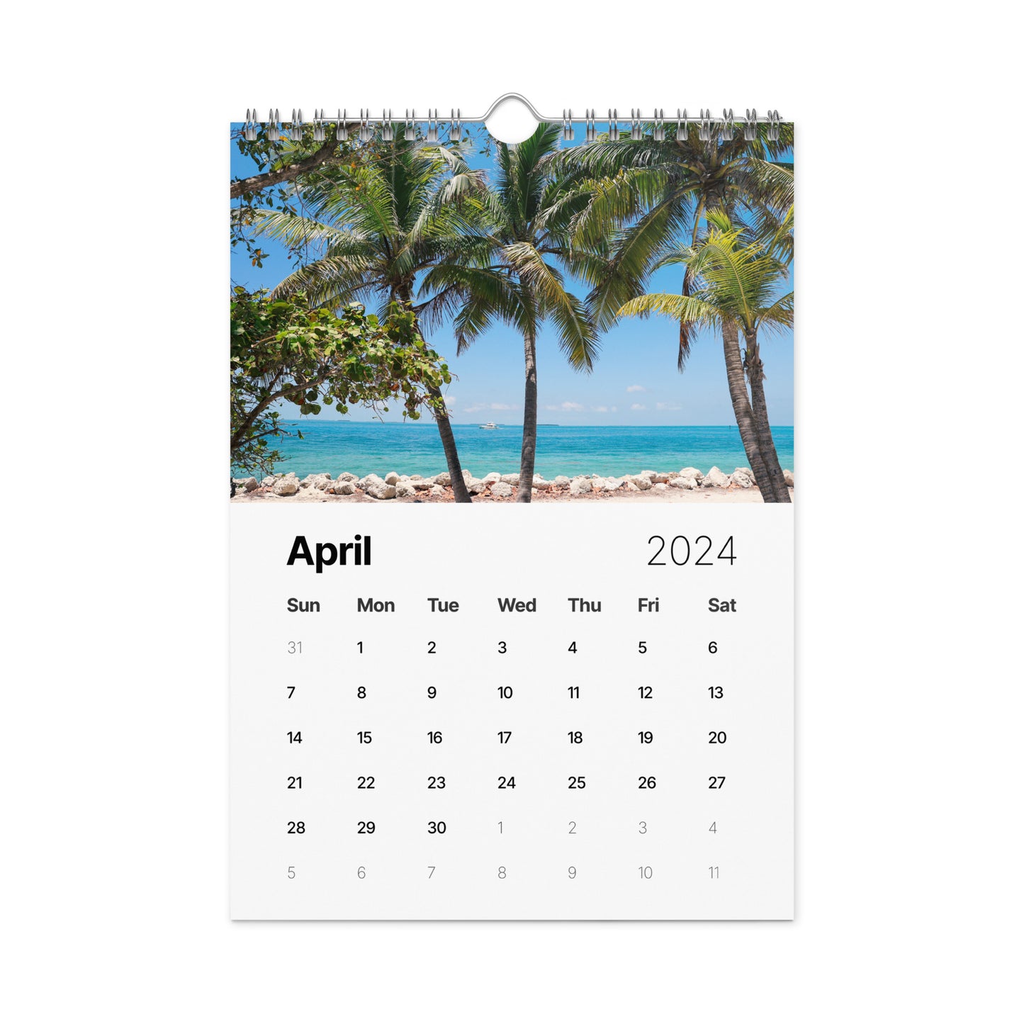 Wall calendar (2024)