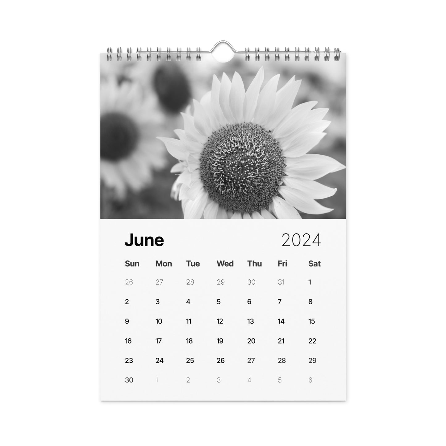 Wall calendar (2024)