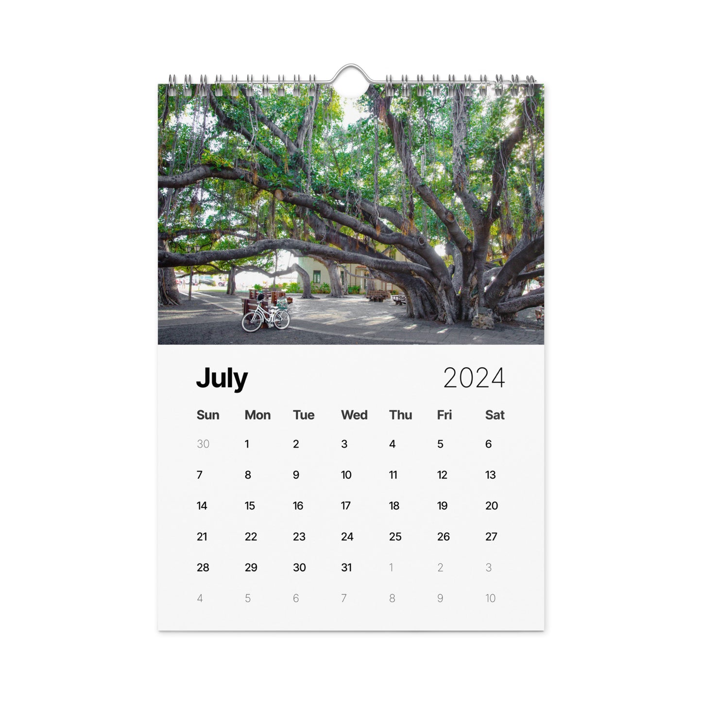 Wall calendar (2024)