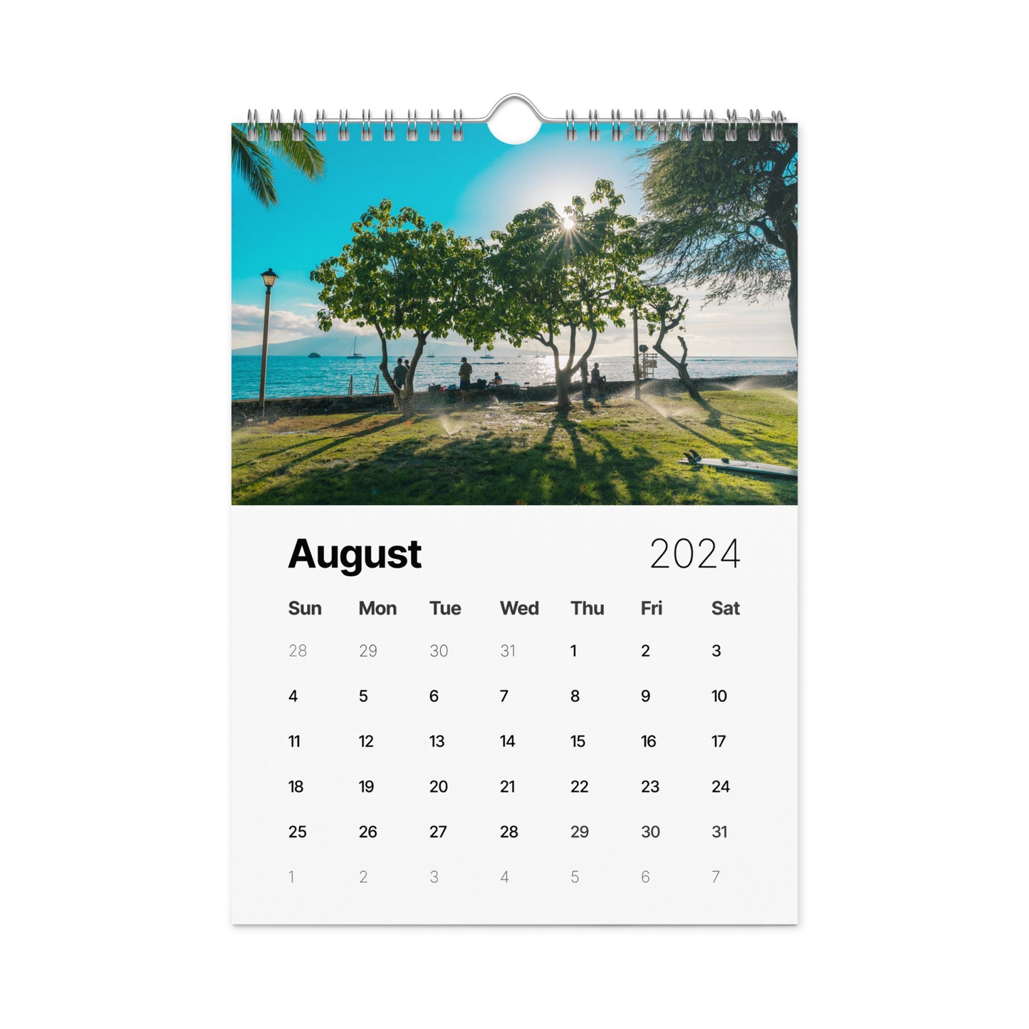 Wall calendar (2024)