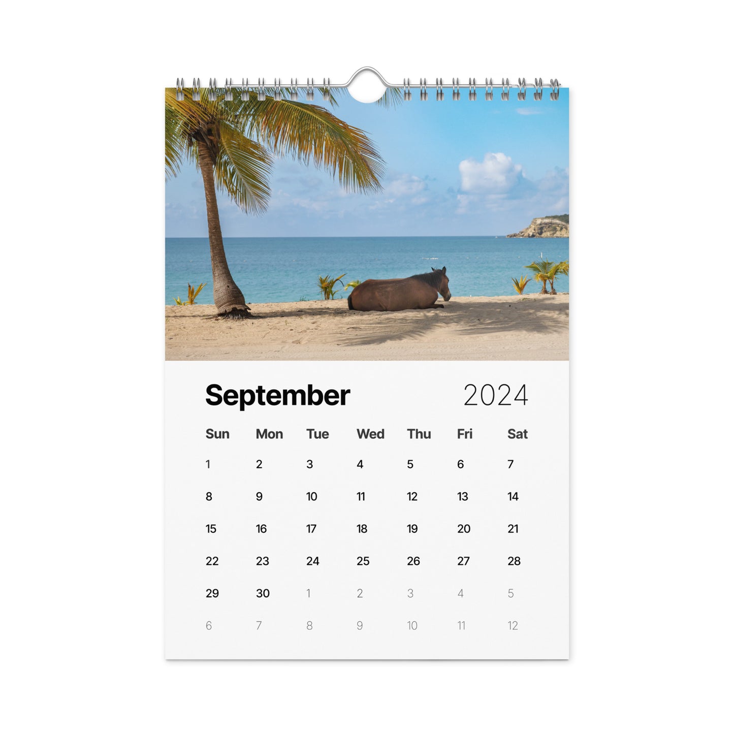 Wall calendar (2024)